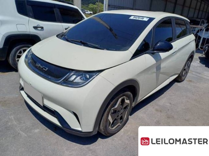 BYD DOLPHIN 23/24
